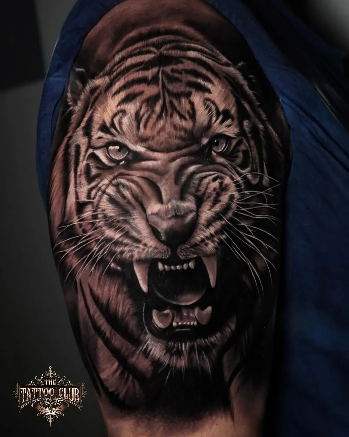 Brullende tijger in black & grey realisme op de bovenarm